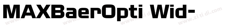 MAXBaerOpti Wid字体转换